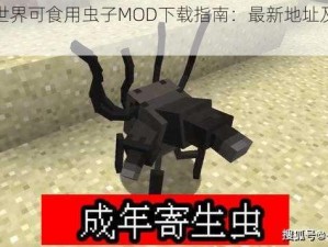 我的世界可食用虫子MOD下载指南：最新地址及安装教程