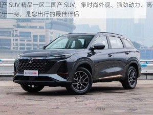 国产 SUV 精品一区二国产 SUV，集时尚外观、强劲动力、高价比于一身，是您出行的最佳伴侣