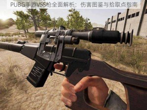 PUBG手游VSS枪全面解析：伤害图鉴与拾取点指南