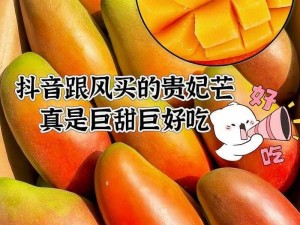 日产精品一线二线三线芒果进行新一轮测试，它们口感鲜美、多汁，每一口都充满了浓郁的芒果香气