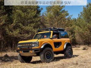 欧美高能豪华运动型多用途 SUV