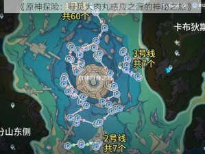 《原神探险：寻觅大肉丸感应之源的神秘之旅》