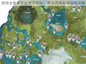 原神金鱼草生长地点揭秘：香自西来秘境探秘攻略