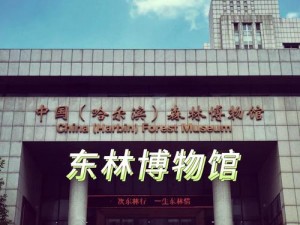 东北大坑原文全部阅读——带你领略东北特色文化的魅力