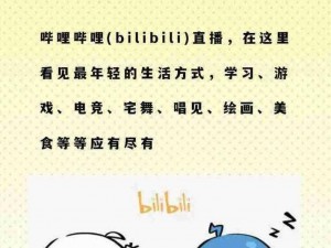 免费看 BILIBILI 私人直播间，精彩内容等你发现