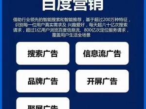 b 站推广网站入口 2024 的推广形式，多种推广方案满足你的需求