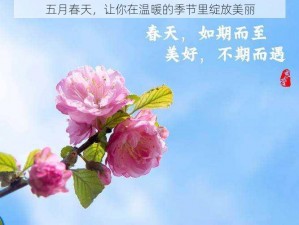 五月春天，让你在温暖的季节里绽放美丽