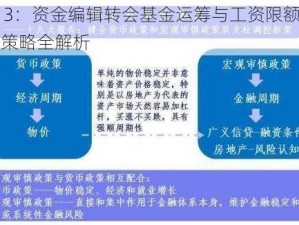 013：资金编辑转会基金运筹与工资限额调控策略全解析