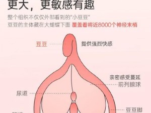 娜娜羞辱榨精挑战：体验极致快感的私密玩具