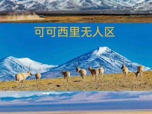 无人区卡一卡二卡乱码图-高清画质、稳定流畅的视频播放体验