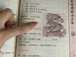 人马胶配方视频高清版，一款源自古老秘方的滋补佳品