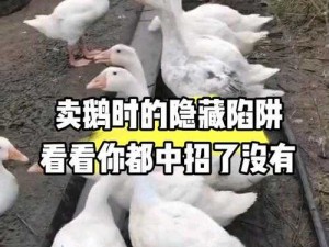 鹅鸭杀落石陷阱揭秘：巧妙布局下的生存挑战