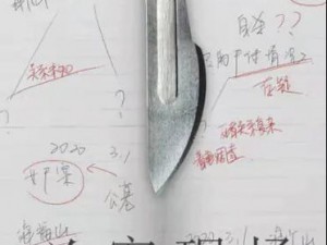 《揭秘犯罪大师YK手稿：深入剖析案件真相》