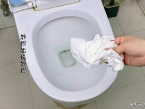 女卫生间不堪入目画面曝光这样的卫生纸你还敢用吗？