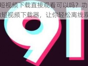 9.1 短视频下载直接观看可以吗？功能强大的短视频下载器，让你轻松离线观看