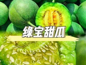 17 吃瓜官网——精选优质水果，让你品尝甜蜜滋味