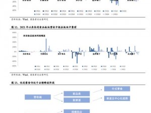 关于雷鸣国官品系统功能作用解析的深度探讨