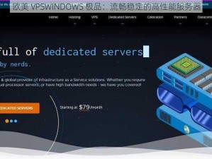 欧美 VPSWINDOWS 极品：流畅稳定的高性能服务器