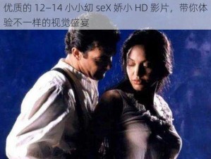 优质的 12—14 小小㓜 seX 娇小 HD 影片，带你体验不一样的视觉盛宴