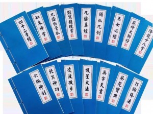 九阴真经四内秘技全揭秘：武林绝学，限时特惠