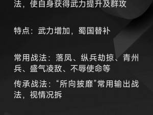 魏蜀吴升级与进阶之辨：暴打策略深度解析