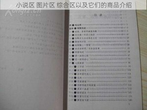 小说区 图片区 综合区以及它们的商品介绍