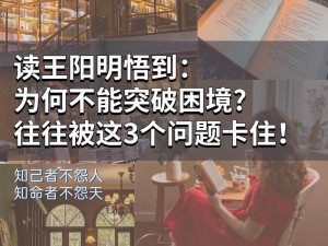 逆境挑战游戏性探究：乐趣源于困境的突破与探索