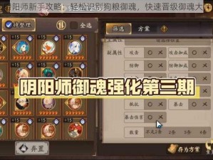 阴阳师新手攻略：轻松识别狗粮御魂，快速晋级御魂大师