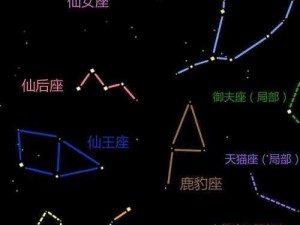 老农种树指南：春季星座类型全解析