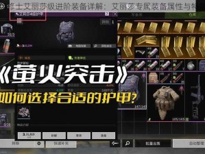 暗黑黎明修士艾丽莎级进阶装备详解：艾丽莎专属装备属性与特效全解析