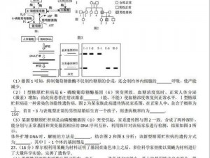 奥拉星手游妙手丹青全答案览：详细解析与汇总集锦