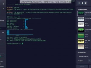 国内 CHEAPWINDOWSVPS，高性价比，专业 VPS 服务提供商