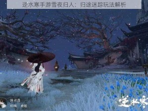 逆水寒手游雪夜归人：归途迷踪玩法解析