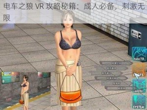 电车之狼 VR 攻略秘籍：成人必备，刺激无限