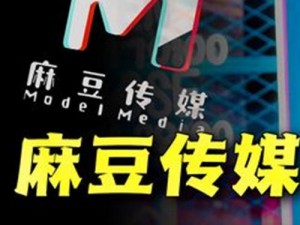 麻花传媒 MV 与其他传媒公司的比较——打造独特视觉盛宴