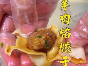 授课方式肉馅小水饺——口感鲜美，营养丰富