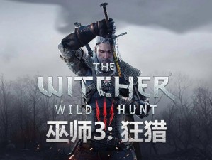 《巫师3：狂猎》最高难度下的黑暗挑战——伸手不见指全攻略解析