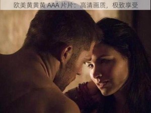 欧美黄黄黄 AAA 片片：高清画质，极致享受