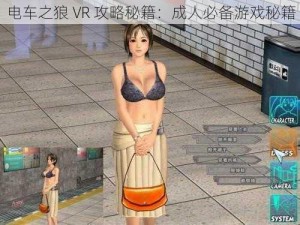 电车之狼 VR 攻略秘籍：成人必备游戏秘籍