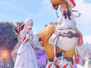 FF14陆行鸟鞍囊扩充攻略：解析扩大陆行鸟鞍囊的方法与步骤