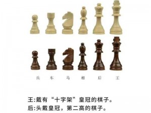 国际象棋魅力揭秘：规则策略与趣味之旅探秘