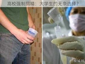 高校强制捐精：大学生的无奈选择？