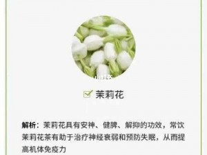 前男友 1v1 耳朵花茶，助眠解压，天然无添加，买二送一，免费阅读