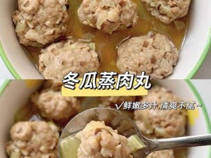 肉丸 1979 年，优质原料制作，口感鲜嫩多汁，营养丰富