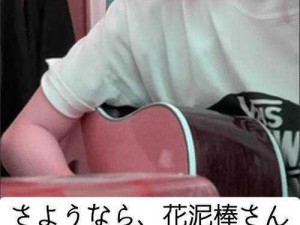 さようなら花泥棒さん歌词 正版 CD 音乐专辑