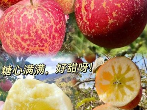 云南特产糖心苹果，色泽诱人，口感酥脆，甜而不腻，富含营养