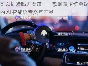 我可以插嘴吗无渠道：一款颠覆传统会议模式的 AI 智能语音交互产品