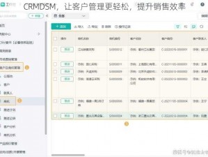 CRMDSM，让客户管理更轻松，提升销售效率