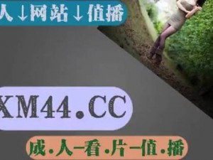 日韩无人区码卡 1 卡 2 卡——畅游日韩，流量无忧