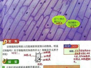 生物课老师让同学们亲自体验生命的奇迹——在显微镜下观察洋葱表皮细胞